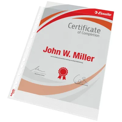 Euroobal PP A4 U MAXI 25ks 100mic ESSELTE matný