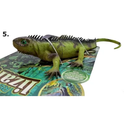 Jašterica s prísavkou 23cm - 1