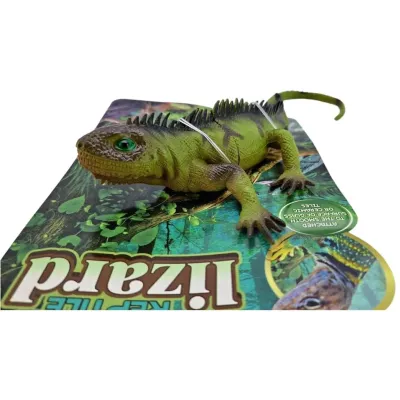 Jašterica s prísavkou 23cm - 1