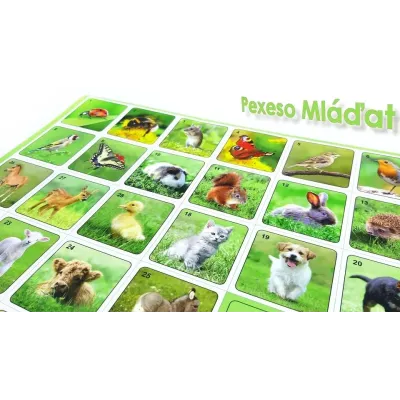 Pexeso mľádatá fotografie 32 dvojíc