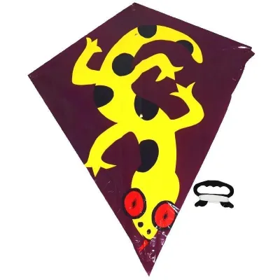 Šarkan Lietajúci drak 72x68cm 3druhy - salamander