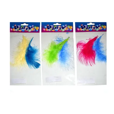 Dekoračné pierka 2ks