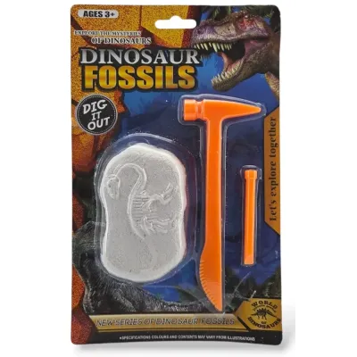 Fosília dinosaurus 9x6cm