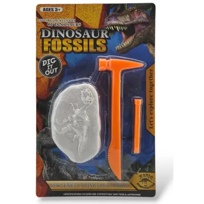 Fosília dinosaurus 9x6cm