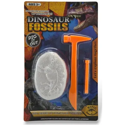 Fosília dinosaurus 9x6cm