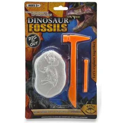 Fosília dinosaurus 9x6cm