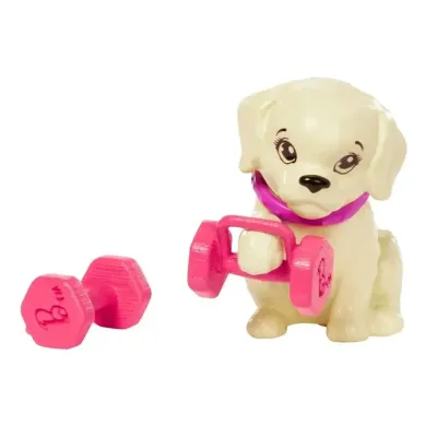 Mattel Barie Wellnes bábika športový deň