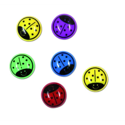 Magnety LIENKY 30mm/6ks