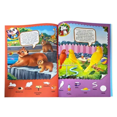 100+ Zvieratá a ich mláďatá aktivity pre deti