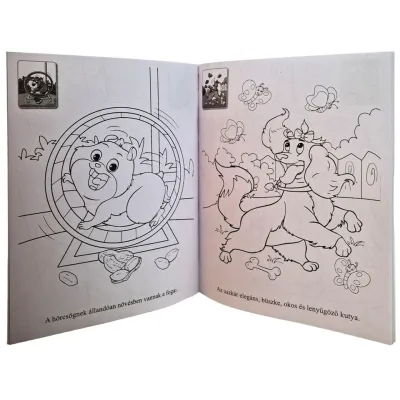 Szeretem a háziállatokat foglalkoztató füzet ( Maďarská verzia )