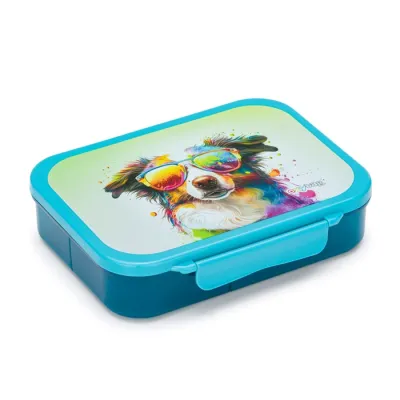 Box na desiatu s priehradkami crazy animals pes