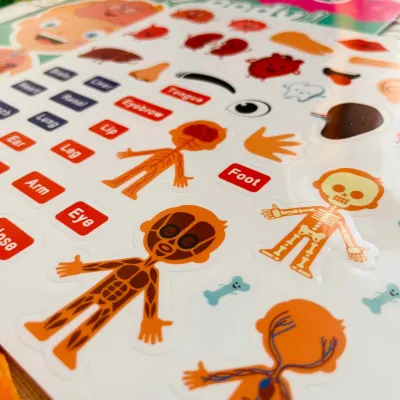 Gumolepky - Čo sa deje v mojom tele?