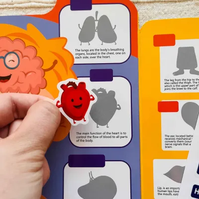 Gumolepky - Čo sa deje v mojom tele?